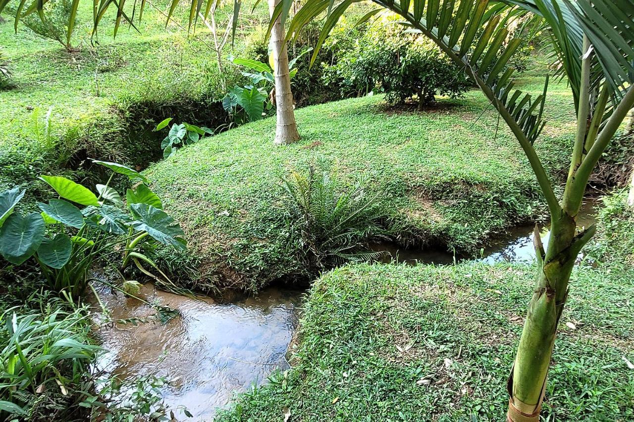 Recanto Dos Sabias - Chales Sao Bonifacio Sc Екстер'єр фото
