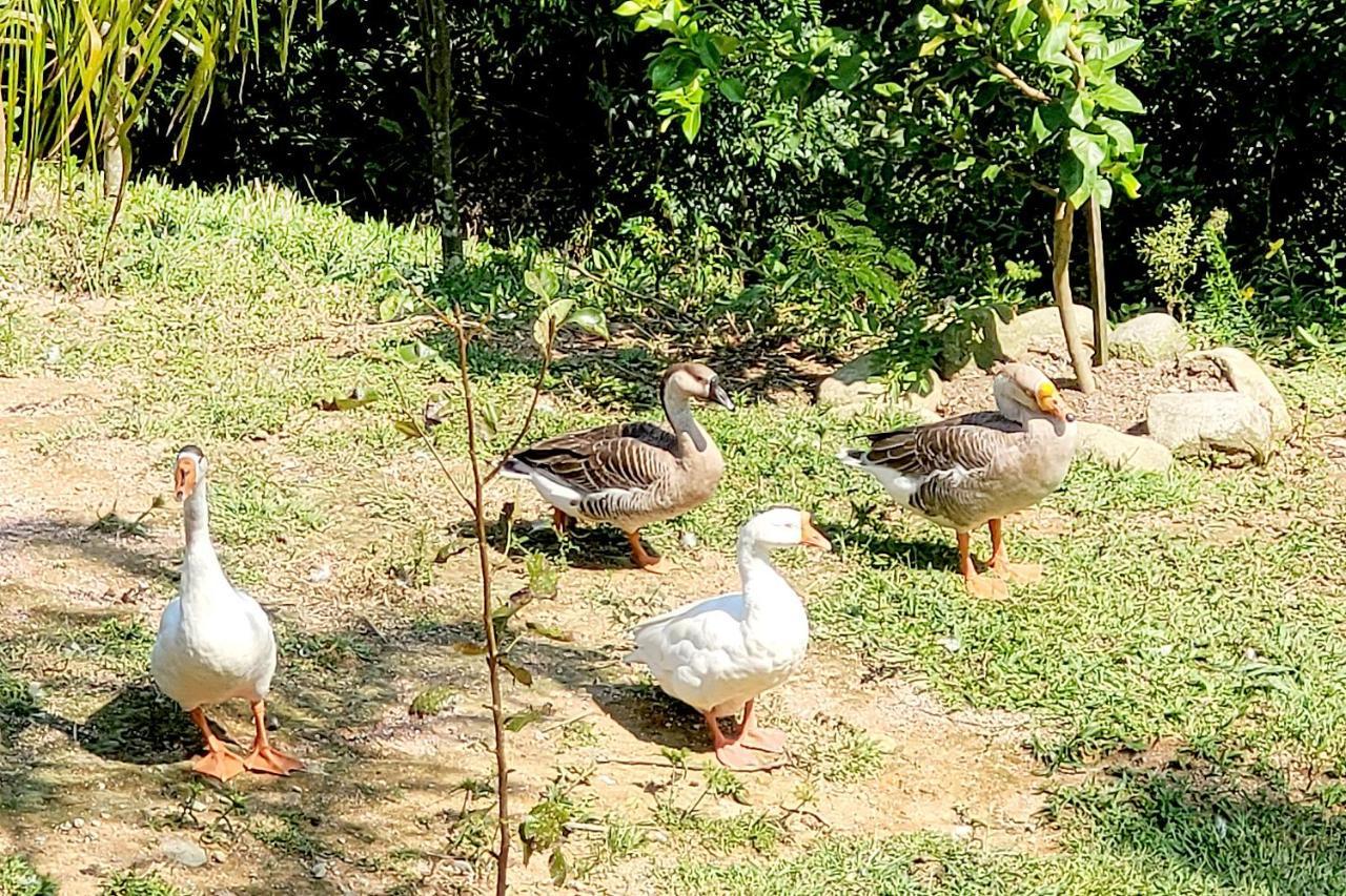 Recanto Dos Sabias - Chales Sao Bonifacio Sc Екстер'єр фото